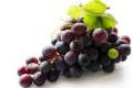 العنب يقلل الإصابة بالقلب والسكري 