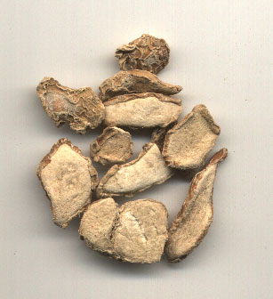 صورة الأعشاب