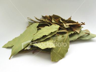 صورة الأعشاب