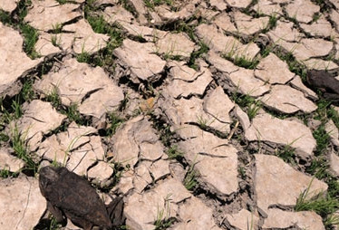 دراسة: العالم مهدد بجفاف شامل في 2030