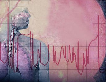 صورة الأعشاب