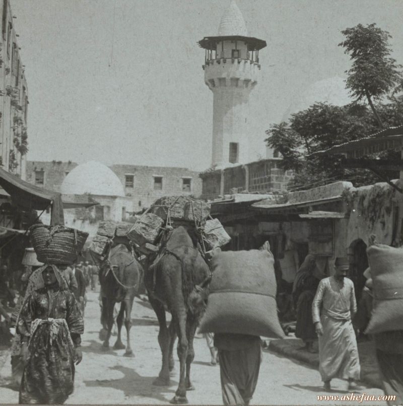 سوق صيدا عام 1903