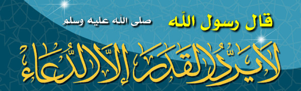 علوم القرآن والحديث والفقه