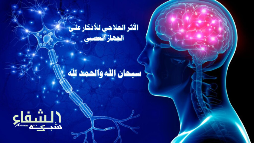 علوم القرآن والحديث والفقه