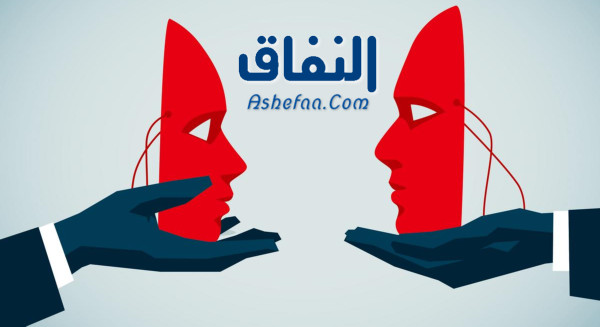 علوم القرآن والحديث والفقه