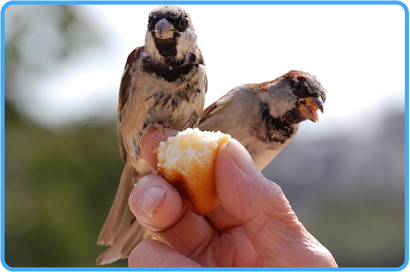 علوم القرآن والحديث والفقه